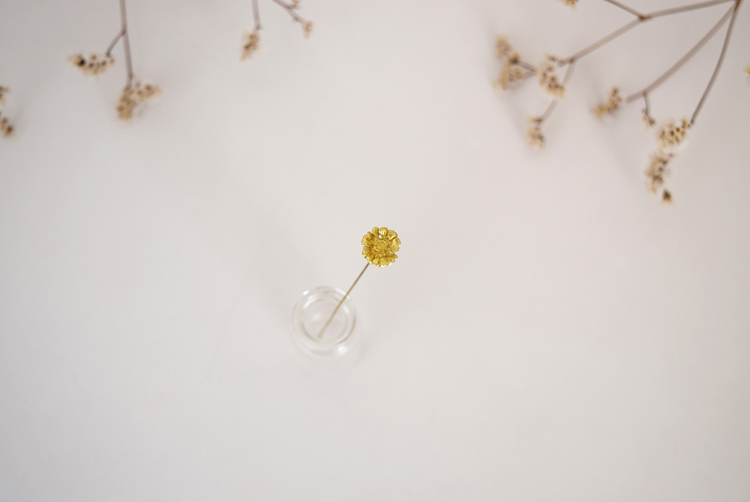 アステリスクス