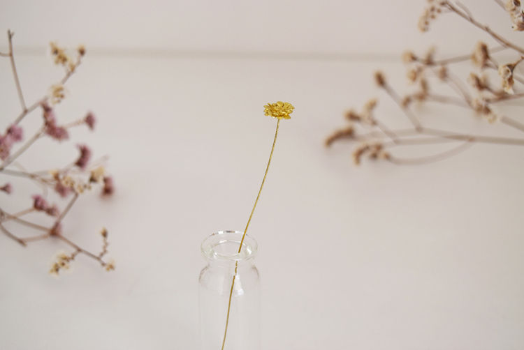 アステリスクス