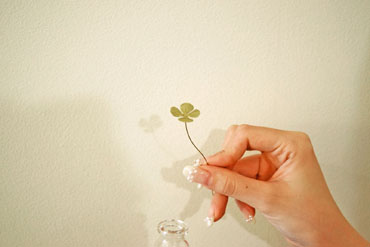 メタルプランツ四つ葉