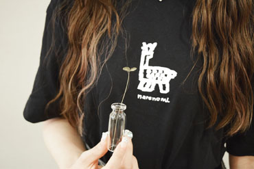 メタルプランツ四つ葉