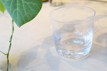 Glass Whiskey Cup 350ml