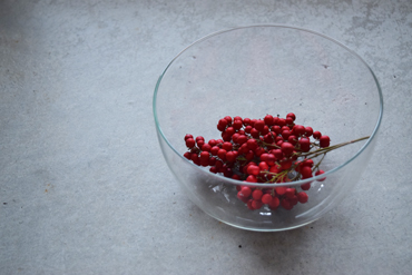 Heat-resistant（Ice cream & dessert / Salad & fruit）Bowl