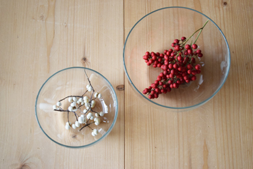 Heat-resistant（Ice cream & dessert / Salad & fruit）Bowl