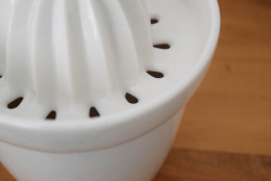 レモンのしぼり器