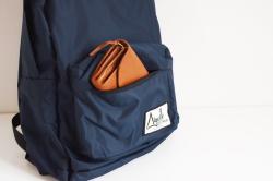 Aiguille ディサック